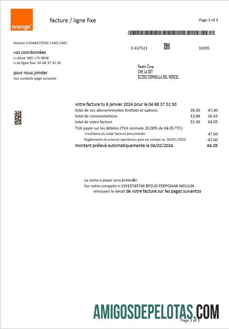 imprimível Modelo de conta de serviços públicos laranja da França em formatos Word e PDF1